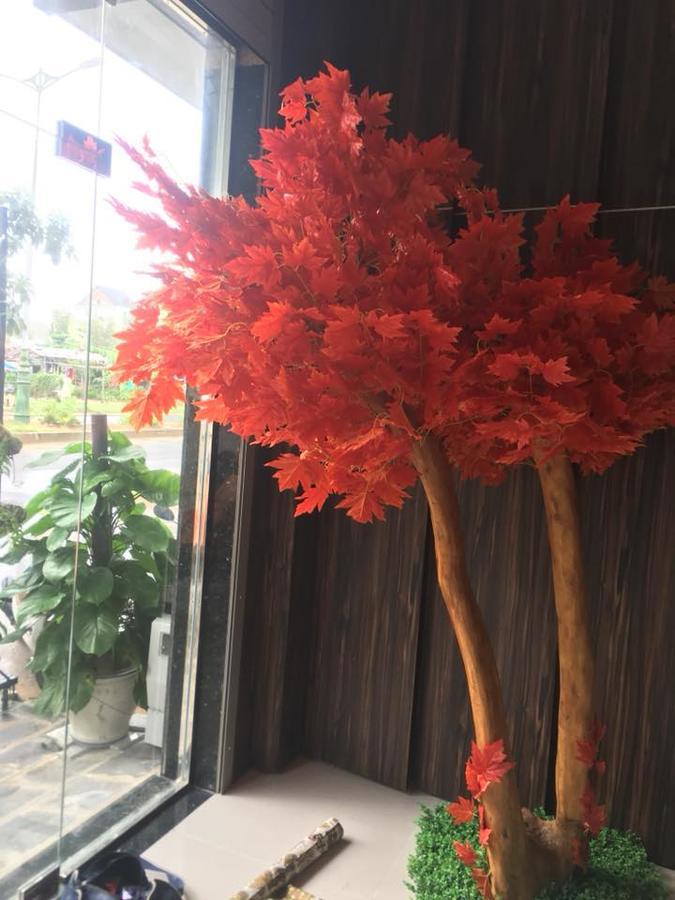 Phi Long Hotel Tuy Hòa Kültér fotó